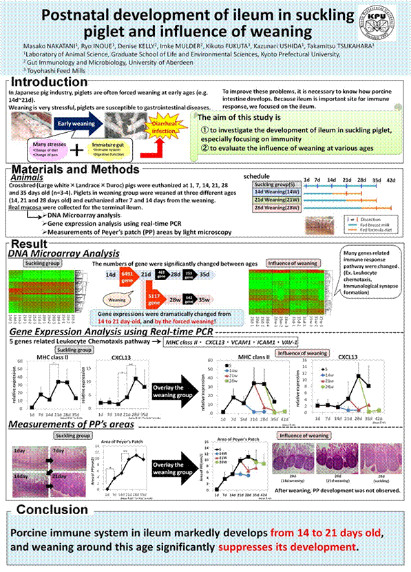 RRI-INRA poster 最終.jpg